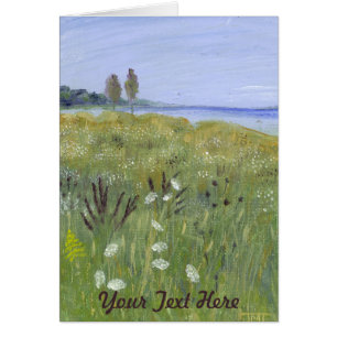 Königin Anne's Lace