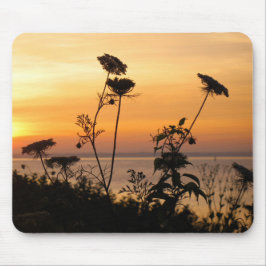 Königin Anne's Lace at Sunset - Fishers Island, NY Mousepad