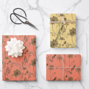 Königin Anne's Lace auf einem Set aus Papier