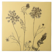 Königin Anne's Lace auf einer Keramik Tile (Gelb B Fliese (Vorderseite)