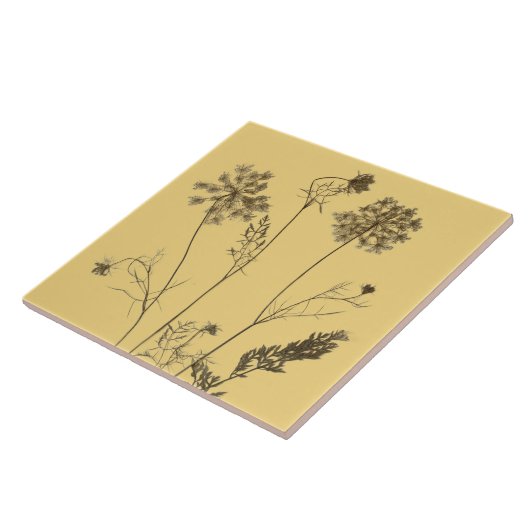 Königin Anne's Lace auf einer Keramik Tile (Gelb B Fliese (Seite)