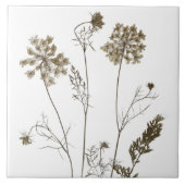 Königin Anne's Lace auf einer Keramik Tile (Weiß B Fliese (Vorderseite)