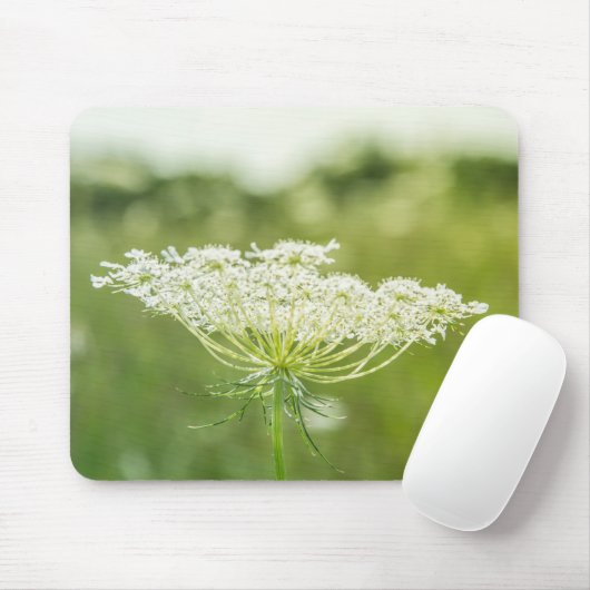 Königin Anne's Lace Blume Wildblumen Mousepad (Mit Mouse)