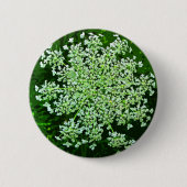 Königin Anne's Lace Button (Vorderseite)