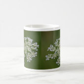 Königin Anne's Lace-Coffee-Tasse Kaffeetasse (Mittel)