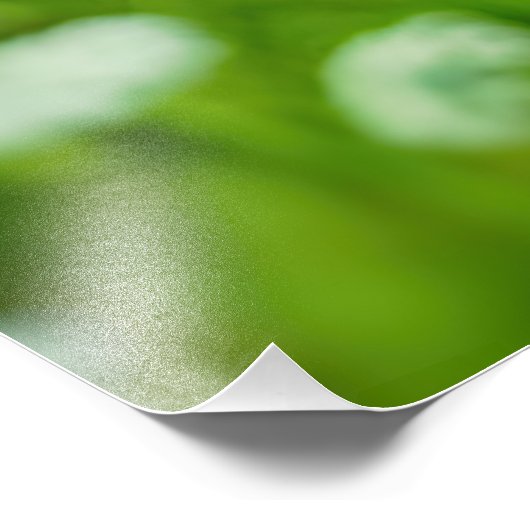 Königin Anne's Lace Fotodruck (Ecke)