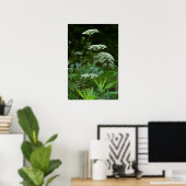 Königin Anne's Lace im Sommer Poster (Heimbüro)