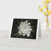 Königin Anne's Lace, Karte (Gelbe Blume)