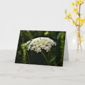 Königin Anne's Lace, Karte (Gelbe Blume)