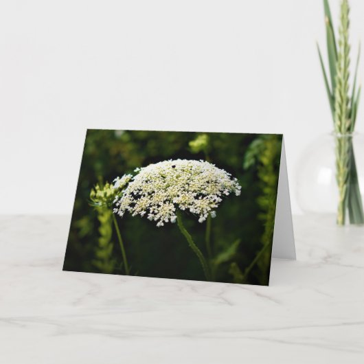 Königin Anne's Lace, Karte (Vorderseite)