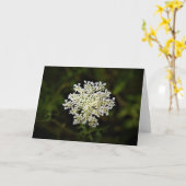 Königin Anne's Lace, Karte (Gelbe Blume)