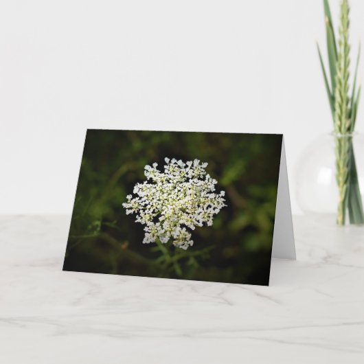Königin Anne's Lace, Karte (Vorderseite)