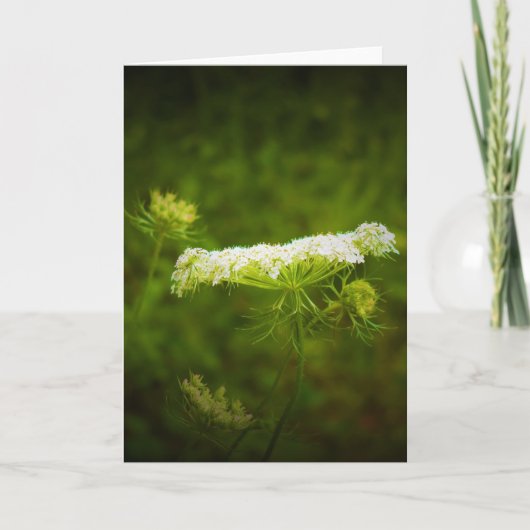 Königin Anne's Lace, Karte (Vorderseite)
