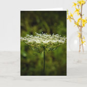 Königin Anne's Lace, Karte (Gelbe Blume)