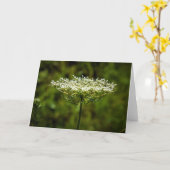 Königin Anne's Lace, Karte (Gelbe Blume)