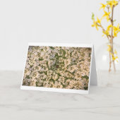 Königin Anne's Lace, Karte (Gelbe Blume)