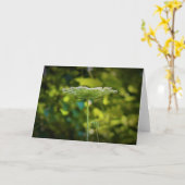 Königin Anne's Lace, Karte (Gelbe Blume)