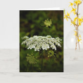 Königin Anne's Lace, Karte (Gelbe Blume)