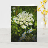 Königin Anne's Lace, Karte (Gelbe Blume)