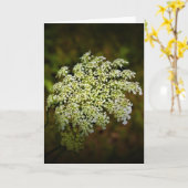 Königin Anne's Lace, Karte (Gelbe Blume)