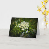 Königin Anne's Lace, Karte (Gelbe Blume)