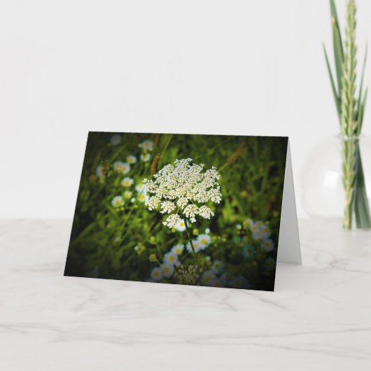 Königin Anne's Lace, Karte (Vorderseite)
