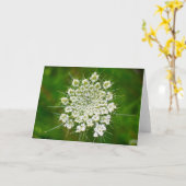 Königin Anne's Lace, Karte (Gelbe Blume)