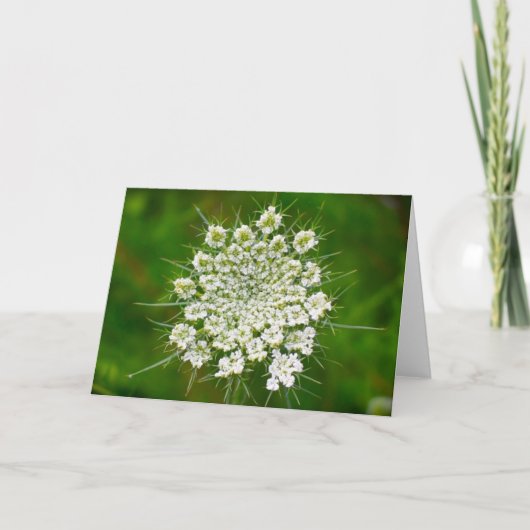 Königin Anne's Lace, Karte (Vorderseite)