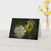 Königin Anne's Lace, Karte (Gelbe Blume)