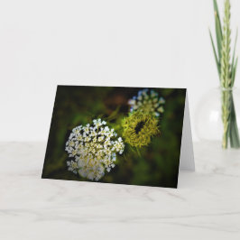Königin Anne's Lace, Karte