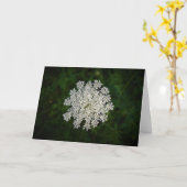 Königin Anne's Lace, Karte (Gelbe Blume)