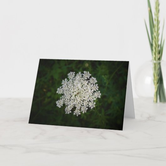 Königin Anne's Lace, Karte (Vorderseite)