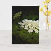 Königin Anne's Lace, Karte (Gelbe Blume)