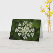 Königin Anne's Lace, Karte (Gelbe Blume)