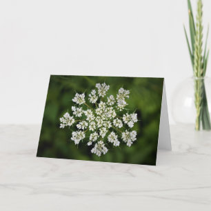 Königin Anne's Lace, Karte
