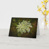 Königin Anne's Lace, Karte (Gelbe Blume)
