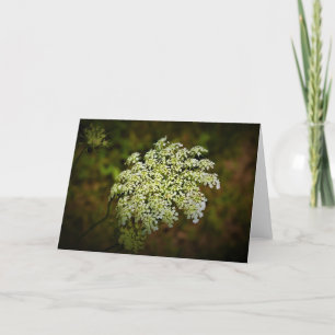 Königin Anne's Lace, Karte