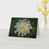 Königin Anne's Lace, Karte (Gelbe Blume)