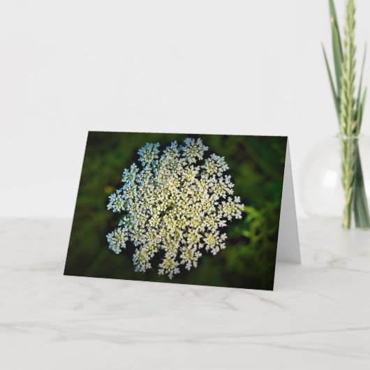 Königin Anne's Lace, Karte (Vorderseite)