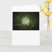 Königin Anne's Lace, Karte (Gelbe Blume)