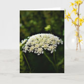 Königin Anne's Lace, Karte (Gelbe Blume)