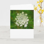 Königin Anne's Lace, Karte (Gelbe Blume)