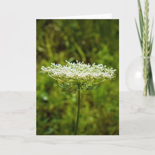 Königin Anne's Lace, Karte (Vorderseite)