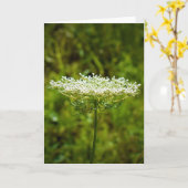 Königin Anne's Lace, Karte (Gelbe Blume)
