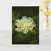 Königin Anne's Lace, Karte (Gelbe Blume)