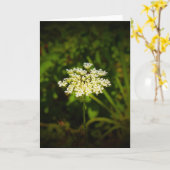 Königin Anne's Lace, Karte (Gelbe Blume)