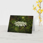Königin Anne's Lace, Karte (Gelbe Blume)