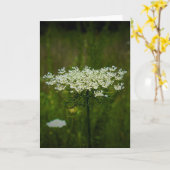 Königin Anne's Lace, Karte (Gelbe Blume)