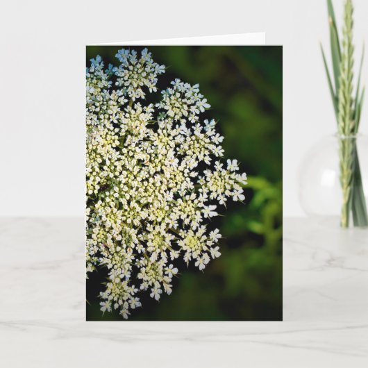 Königin Anne's Lace, Karte (Vorderseite)