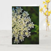 Königin Anne's Lace, Karte (Gelbe Blume)